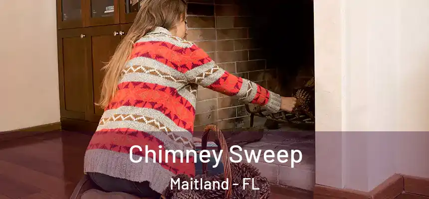  Chimney Sweep Maitland - FL