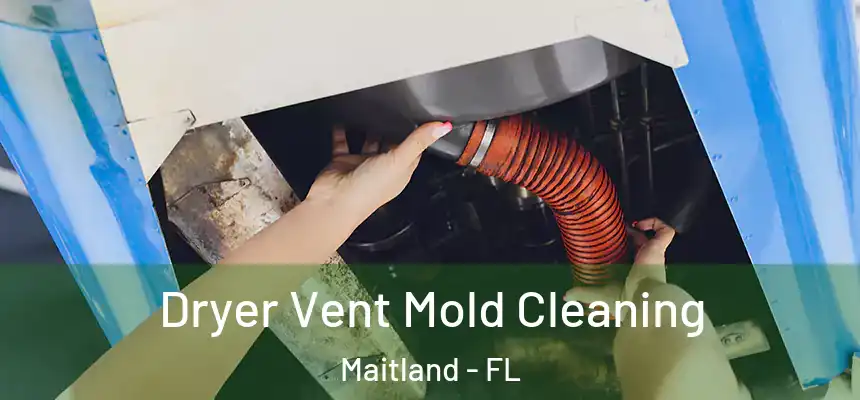  Dryer Vent Mold Cleaning Maitland - FL