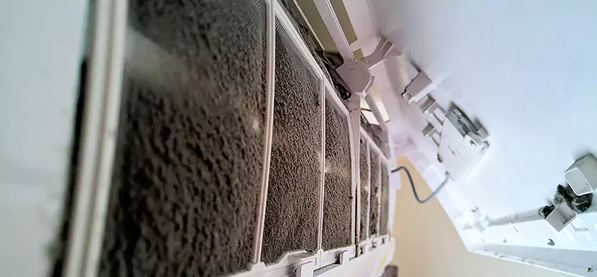 Preventive Air Duct Bacteria Removal in Maitland