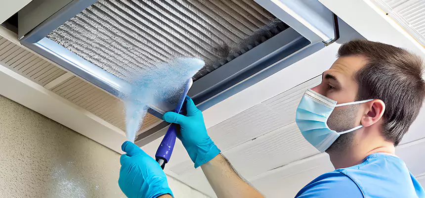Proactive Dryer Vent & Auxiliary Duct Pollen Cleanup in Maitland, FL