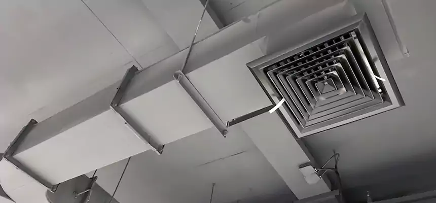 Restorative Allergy Relief Vent Cleaning – Coil, Blower & Housing Detail in Maitland