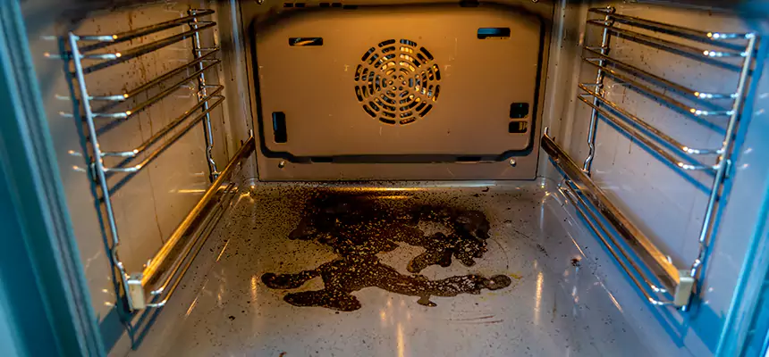 Our Dryer Vent Mold Cleaning Services in Maitland, FL