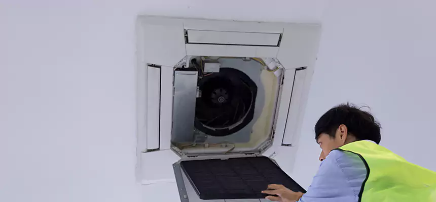 Our Dryer Vent Sanitization Service Services in Maitland, FL