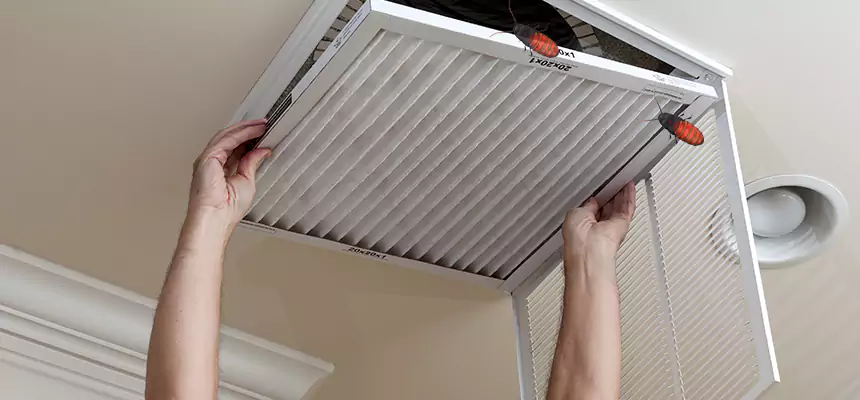 Our Insect Removal from Air Ducts Services in Maitland, FL