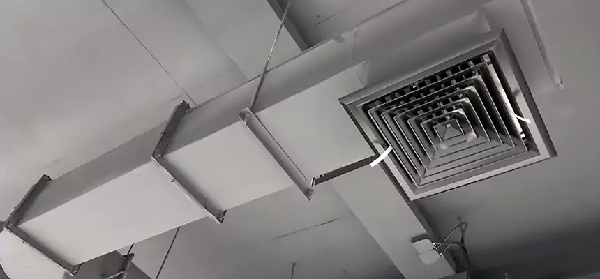 Our Pest Removal From Ducts Services in Maitland, FL