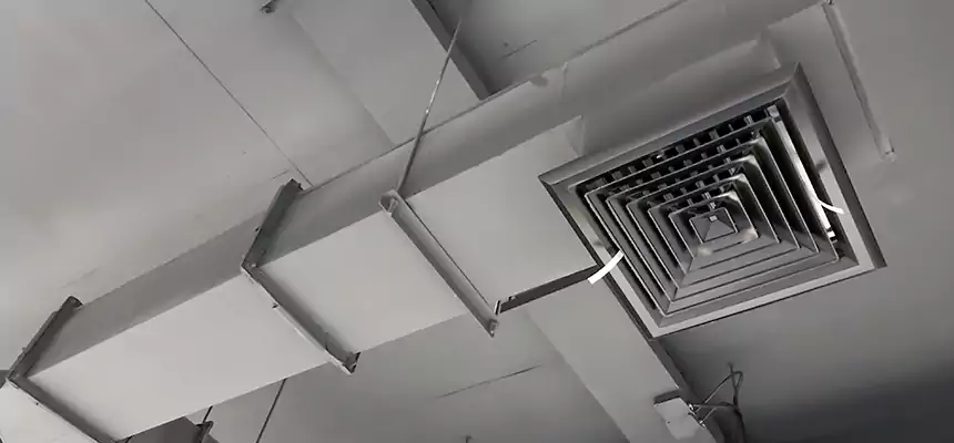 Our Rodent Droppings In Vents Services in Maitland, FL