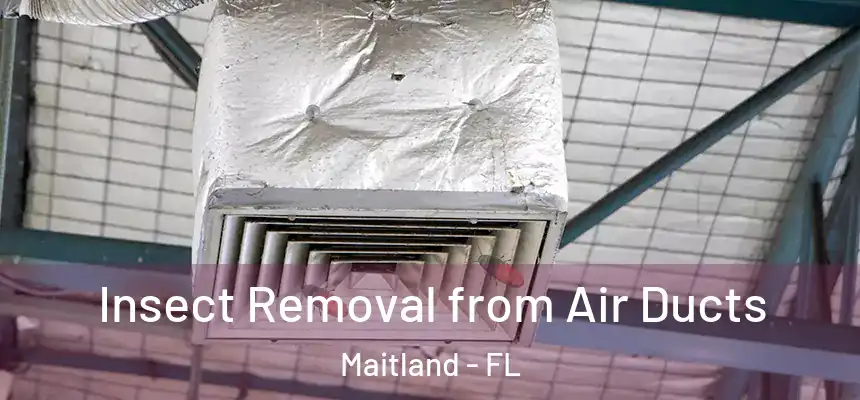  Insect Removal from Air Ducts Maitland - FL