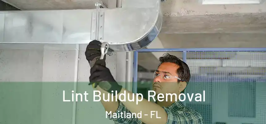  Lint Buildup Removal Maitland - FL