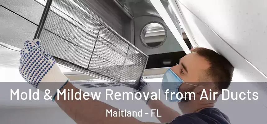  Mold & Mildew Removal from Air Ducts Maitland - FL