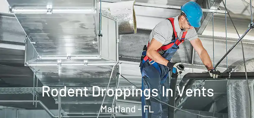  Rodent Droppings In Vents Maitland - FL