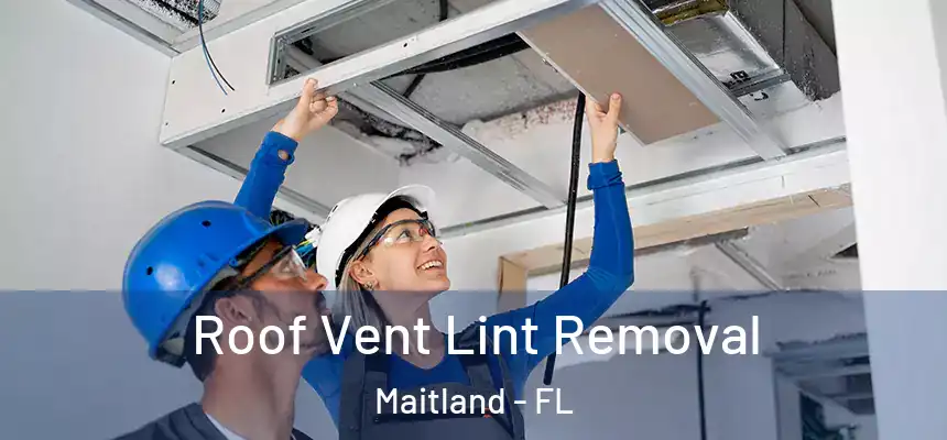  Roof Vent Lint Removal Maitland - FL