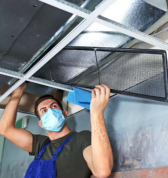 Professional Air Duct Pollen Cleaning in Maitland, FL