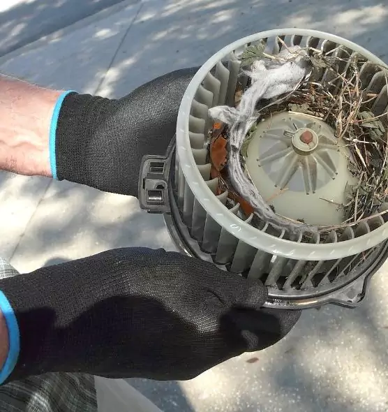 About Air Duct Rat Removal in Maitland, FL