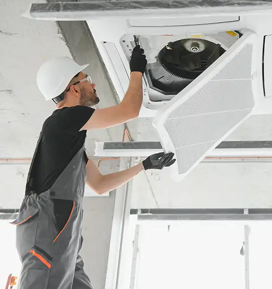 About Air Duct Rodent Removal in Maitland, FL