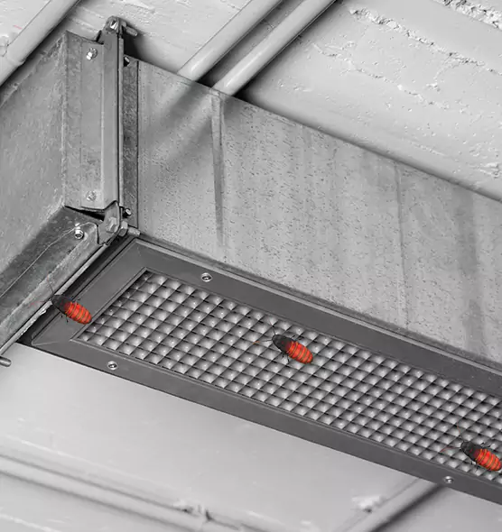 Affordable Insect Removal from Air Ducts in Maitland, FL