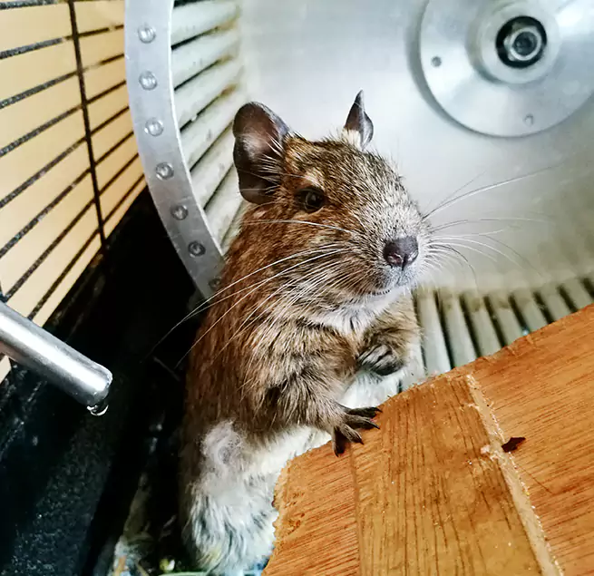 Why Homeowners & Businesses Trust Us Maitland, FL?