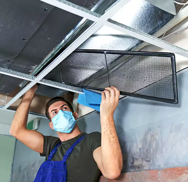 Why Homeowners Businesses Trust Us in Maitland, FL