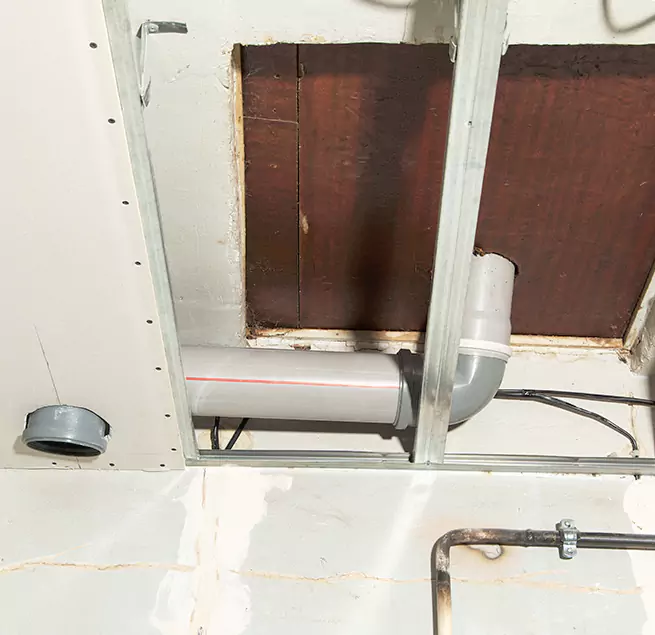 Why Homeowners & Businesses Trust Us in Maitland, FL?