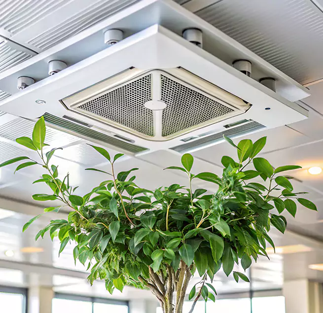 Why Homeowners & Businesses Trust Us in Maitland, FL