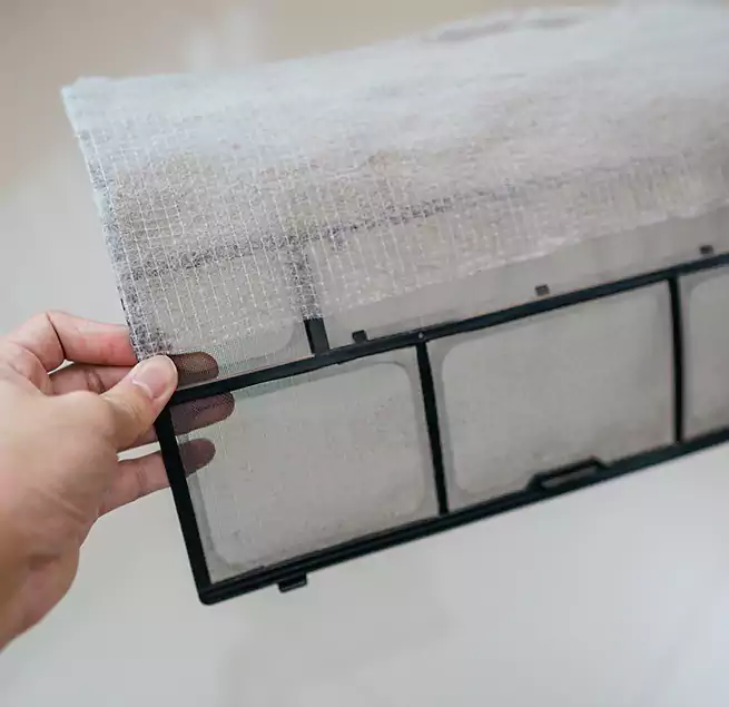 Why Homeowners & Businesses Trust Us in Maitland, FL?